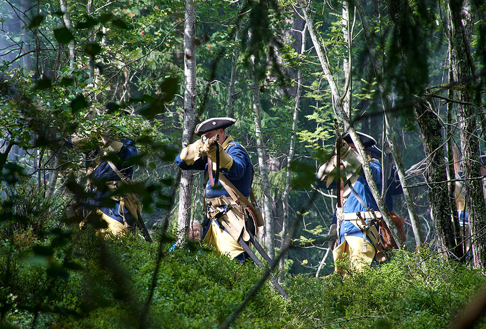 Buggensstaket - war in forest