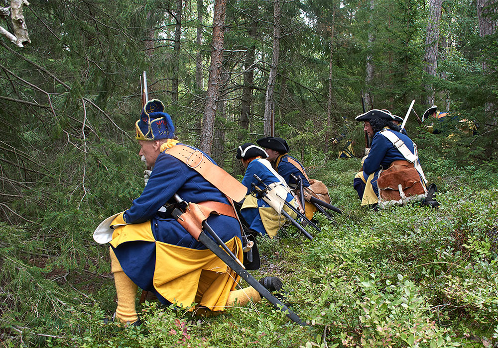 Buggensstaket - war in forest