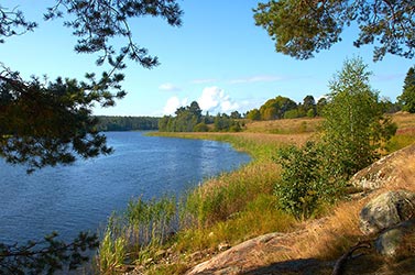 Kurkijoki - crane river